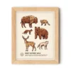 Nature Study Digital Download Poster | Wildlife