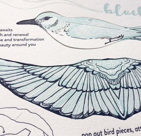 Bluebird Pop-Out Bird Card - Image 2