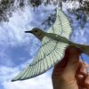 Bluebird Pop-Out Bird Card - Image 4