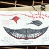Woodpecker Pop Out Bird Card - Image 2