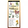 Common Wildflowers of Texas