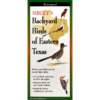 Sibley's Backyard Birds of Eastern Texas