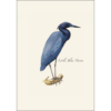Heron Assortment Notecards - Image 4
