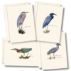 Heron Assortment Notecards