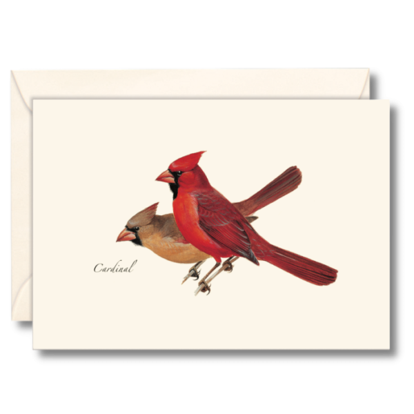 Cardinal Notecards