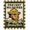 Smokey Bear Postage Stamp Pin