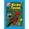 Kids' Guide To Birds of Texas