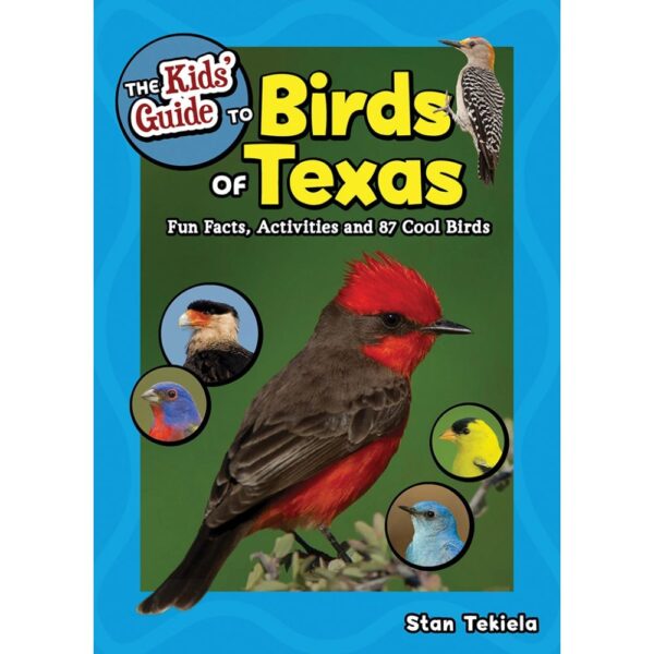 Kids' Guide To Birds of Texas