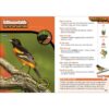 Kids' Guide To Birds of Texas - Image 2