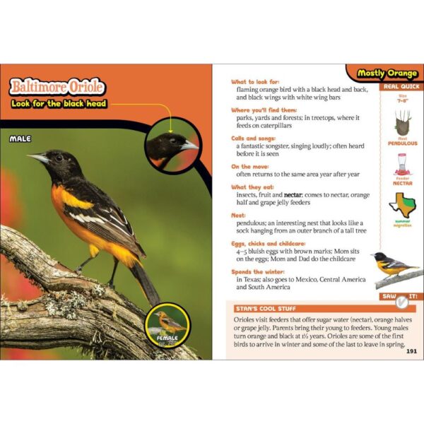 Kids' Guide To Birds of Texas - Image 2