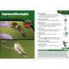 Kids' Guide To Birds of Texas - Image 3