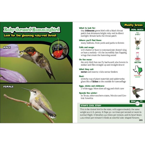 Kids' Guide To Birds of Texas - Image 3